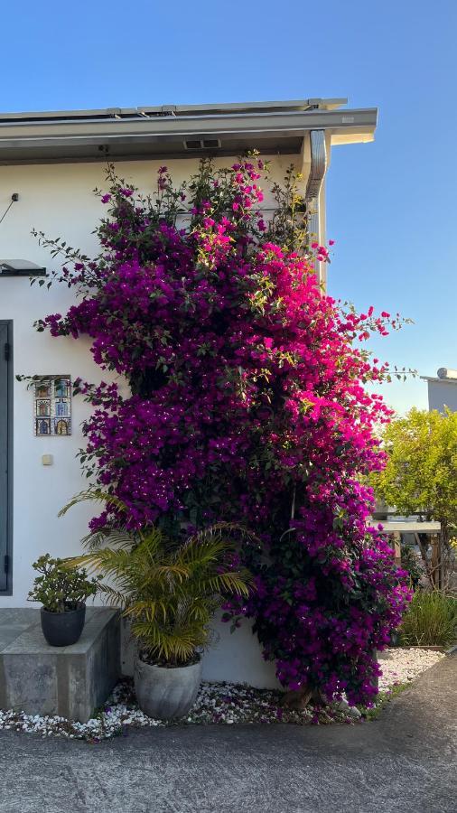 Plumeria Holidays Saint Pierre Exterior foto